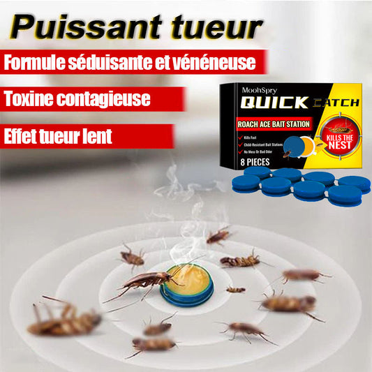 Appât Anti-Cafards - Lot de 8