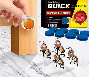 Appât Anti-Cafards - Lot de 8