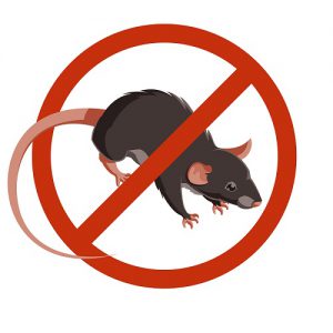 Appâts Anti-Souris